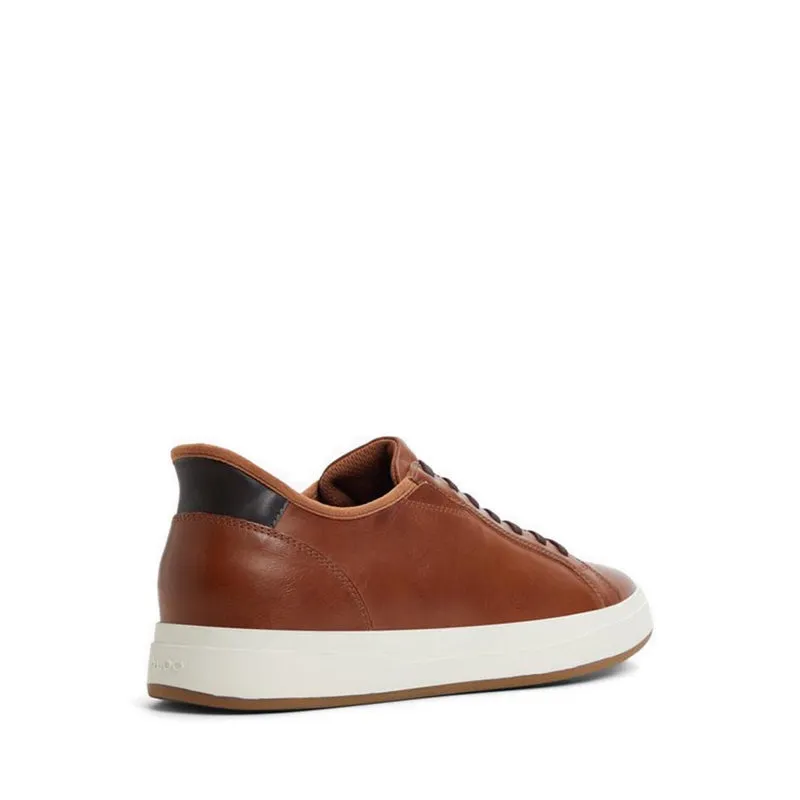 ALDO Scottie Men's Fashion Athletics - Cognac