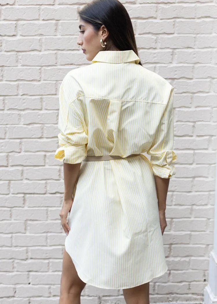 Georgina Striped Shirt Dress-***FINAL SALE***